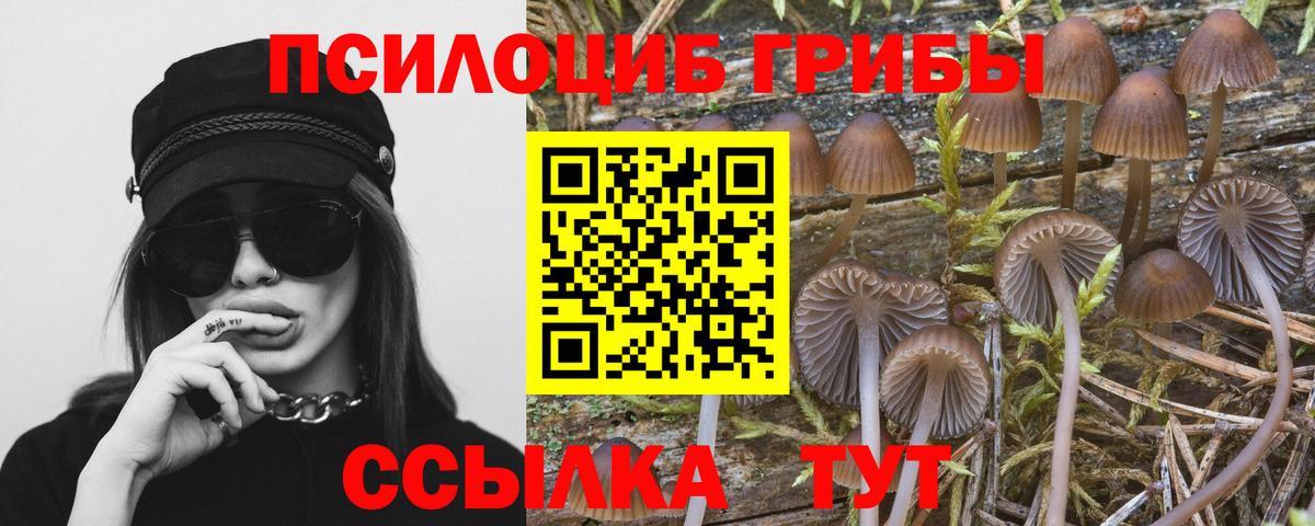 Галлюциногенные грибы Psilocybe  Вход с VPN  Петропавловск-Камчатский  Галлюциногенные грибы прущие грибы 
