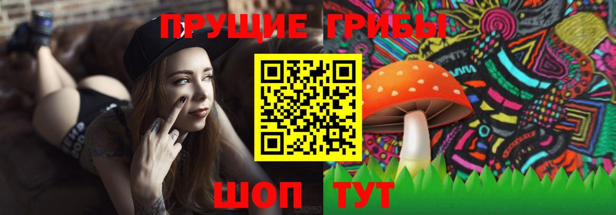 Галлюциногенные грибы прущие грибы Петропавловск-Камчатский